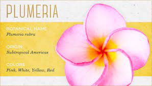 We did not find results for: The 20 Most Beautiful Flowers You Ll Ever See Ftd Com