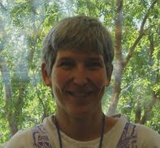 Chikungunya and Dengue Surveillance and Response in Florida