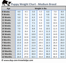 Average Height Baby Online Charts Collection
