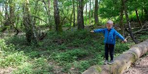 Nature Tots 3-5 Yr Olds and Accompanying Adults