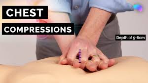 Image result for Chest Compressions