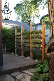 13 Attractive Ways To Add Privacy To Your Yard Deck With Pictures Diy Garden Garden Privacy Outdoor Gardens
