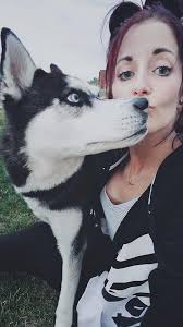 Lost black and white Siberian husky in Raleigh County