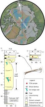 The camel bones, the site represents a hunting and butchering site for wild dromedaries which was slaughtering place for camels so far discovered in the united arab emirates. Mid Pliocene Warm Period Deposits In The High Arctic Yield Insight Into Camel Evolution Nature Communications
