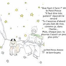 16 citations philosophiques du petit prince. Dfi Erlangen Pa Twitter Que Faut Il Faire Dit Le Petit Prince Il Faut Etre Tres Patient Repondit Le Renard Tu T Assoiras D Abord Un Peu Plus Loin De Moi Comme Ca Dans