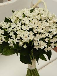 Le livre numérique (en anglais : Bouvardia Bouquet Would Make A Beautiful Classic And Petite Bouquet Flower Bouquet Wedding Wedding Flowers Bouvardia Wedding Bouquet