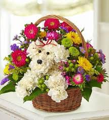 Maybe you would like to learn more about one of these? Raleigh Florist Same Day Flower Delivery Raleigh Nc By Flowers Flowers