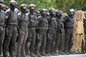 Pin On Serbian Special Forces