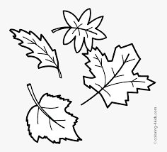 How to draw autumn leaves. Leaf Outline Fall Outlines Autumn Maple Transparent Autumn Leaves Drawing Easy Hd Png Download Kindpng