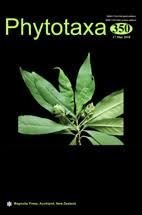 Image result for Centemopsis