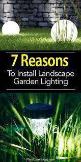 Pin On Best Of Plantcaretoday