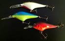 Frenzy fishing lures