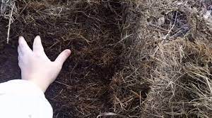 173 Ruth Stout Gardening Youtube Stout Garden Styles Ruth