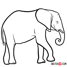 Collection by simiyu online tv • last updated 9 weeks ago. Elephant Simple Wild Animal Drawings Novocom Top