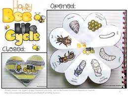 Come Along With Me And The Butterflies And Bees Bee Life Cycle Craft Activity Science Interactive Noteboo Honey Bee Life Cycle Bee Life Cycle Life Cycles