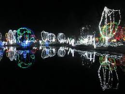 Something Fun To Do In Ohio Columbus Zoo Wildlights Enjoy The Light Show And Animals Around Christmas Time Columbus Zoo Columbus Ohio Zoo Ohio