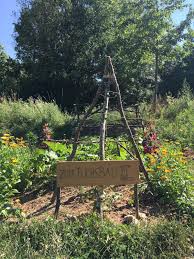 Hier kann man die vielfalt der natur mit allen sinnen wahrnehmen. Bunte Garten Regensburg Transition Regensburg Im Wandel