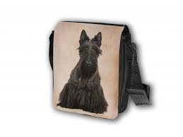 Image result for skotský teriér