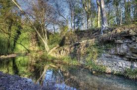 Saltburn Valley Woods The Fairy Glen Fairy Glen Glen Photo