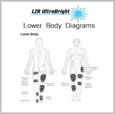 Start studying lower body diagram (a&p practical 2). Lower Body Diagrams Lzr Ultrabright Powerful Led Therapy