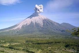 Terlihat pohon sakura yang sedang berbung. 10 Foto Pemandangan Gunung Semeru Yang Menakjubkan Wisatabaru Com