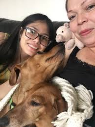 Lost puppy Honey update: owner in contact