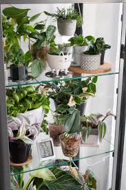 We did not find results for: Ikea Greenhouse Home And Aplliances