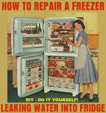 We did not find results for: Repair Freezer Leak Water Into Fridge Freezer Repair Repair Household Cleaning Tips