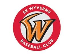 인천sk행복드림구장 (2002년~현재) 2군(퓨처스, 육성군) : Bcgn7rwl9qpl5m