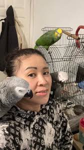 African Grey Parrots' facial expressions and behaviors