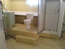 Basement Bathroom Ideas Remodeling Dvm Home Decor Ideas From Make A Basement Bathroom Ideas Pictures