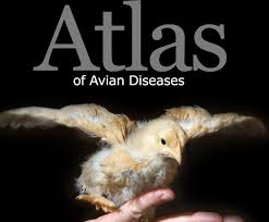 Bird And Pet Clinic Of Roseville Reviews Atlas Of Avian Diseases Partners In Animal Health Avian Pet Health Animals