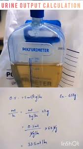 Image result for Urine Output