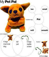 Math Science Students Bring In Stuffed Animal Measure Your Pet Weigh Your Pet Find Two Friends And Create A Fraction Animals Animal Activities Pet Toys