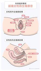 私密處有5大症狀＝生病了！保養觀念錯很大...經血髒要洗？ | ETtoday健康雲| ETtoday新聞雲