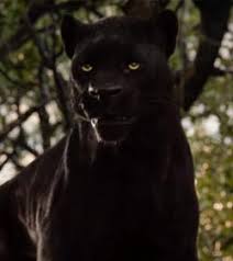 Baloo is the deuteragonist of disney's 1967 animated feature film the jungle book. The Jungle Is No Longer Safe For You You Re Being Hunted By A Tiger Only Man Can Protect You Now Magicalquote
