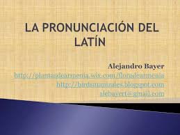 Image result for Kotschya aeschynomenoides