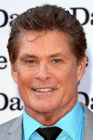 Comedy Central Roast of David Hasselhoff (2010)