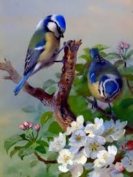Diamond Painting Kit Diamond Painting Kit Full Drill 5d Diamond Painting Kit 3d Diamond Painting Diamond Embroidery Birds Flowers Hayvan Ilustrasyonlari Tablolar Ve Sevimli Illustrasyon