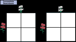 We did not find results for: Https Misszukowski Weebly Com Uploads 9 7 4 6 97462532 Biology Take Home Lesson 2 Key Pdf