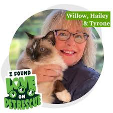 At 18, Willow is living proof that senior cats aren't just full of love;  they're full of wisdom, adventure, and joy! 🐱 When Hailey and Tyrone lost  their beloved cat Rosie (also