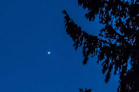 Resultado de imagem para sirius star