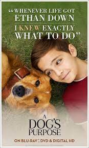 a dog s purpose is full of genuine heart humor and a real message of love the plain dealer own it on blu ray dvd d a dogs purpose dog movies dog