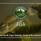 Parks & Recreation "Fish” Program — Lackawaxen