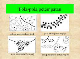 Menerangkan mengenai jenis pola petempatan beserta ciri cirinya dan juga contoh. Petempatan Di Malaysia