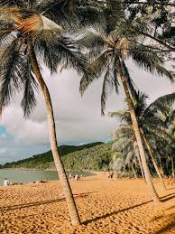 Et Pourquoi Pas Voyager En Guadeloupe Honeymoon Destinations Usa Affordable Honeymoon Destinations Usa Honeymoon Destinations Affordable