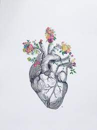 Happy valentines day colorful poster or greeting card design. Simple Anatomical Heart Drawing With Flowers Novocom Top