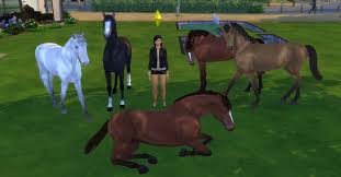 I already know that i crashes when you have the mccc mod installed. Sims 4 Pferde Freischalten Durch Mod Und Custom Content