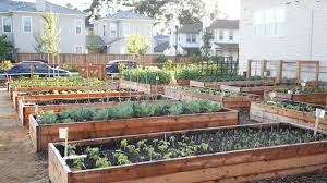 By using a raised garden bed to grow your own food, you will be able to control every aspect of your new garden, being able to provide the proper soil and correct nutrients for your vegetables. How To Build A Raised Garden Bed Cheap Prefab Kits Diy Plans Dengarden