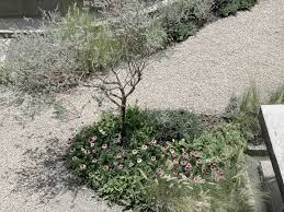 pin by wuu oo on plant in 2021 landscape design design consultant plan design